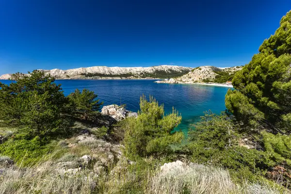 Hırvatistan 'ın KRK adasındaki Jablanova Plajı, Adriyatik Denizi manzaralı boş bir çakıl taşı plajına, vahşi doğaya ve yemyeşil Akdeniz bitkilerine giden mavi yol,