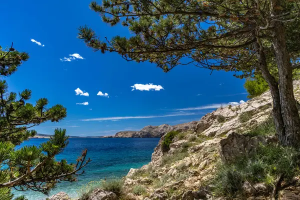 Sezon öncesi boş Jablanova plajı, yeşil yabani Akdeniz bitkisi, Adriyatik Denizi 'ndeki gök mavisi su Croati' deki KRK adası.