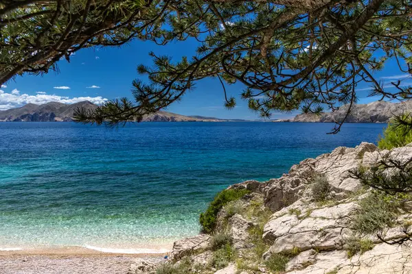 Sezon öncesi boş Jablanova plajı, yeşil yabani Akdeniz bitkisi, Adriyatik Denizi 'ndeki gök mavisi su Croati' deki KRK adası.