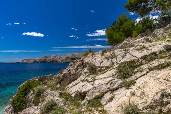 Sezon öncesi boş Jablanova plajı, yeşil yabani Akdeniz bitkisi, Adriyatik Denizi 'ndeki gök mavisi su Croati' deki KRK adası.
