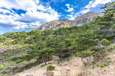 Baska 'daki kumsaldan Bag Dağı' na kadar yürüyüş yolu, yukarıdan görülen şehir manzarası, Bask sahilindeki koyu masmavi su.