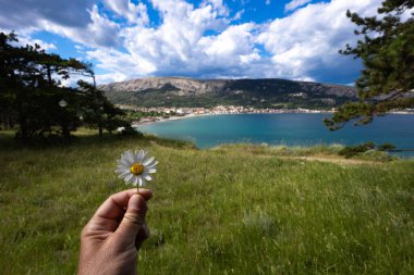 Baska kasabası yakınlarındaki bir açıklıkta beyaz papatya, kasabayı yukarıdan görüyor, yürüyüş yolunda dinleniyor.