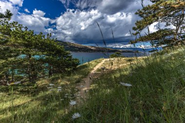 Baska kasabası yakınlarındaki bir açıklıkta beyaz papatya, kasabayı yukarıdan görüyor, yürüyüş yolunda dinleniyor.
