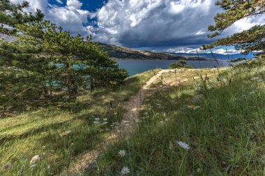 Baska kasabası yakınlarındaki bir açıklıkta beyaz papatya, kasabayı yukarıdan görüyor, yürüyüş yolunda dinleniyor.