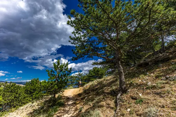 Baska 'daki kumsaldan Bag Dağı' na kadar yürüyüş yolu, yukarıdan görülen şehir manzarası, Bask sahilindeki koyu masmavi su.