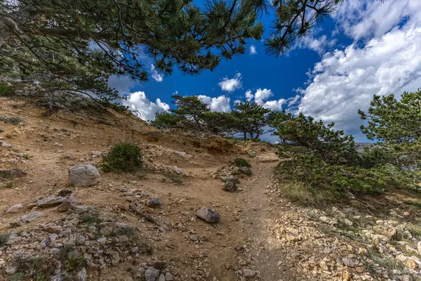 Açıklıkta yeşil çimenler, Baska kasabası yakınlarındaki bir patikada dinlenme, körfez ve şehir manzarası