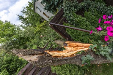 Bahçedeki bir fırtına sırasında kırık meyve ağacı, yıldırım düştü, evin altındaki bir ağacı tutuşturdu ve kırdı, çitleri kırdı, çiti tahrip etti.
