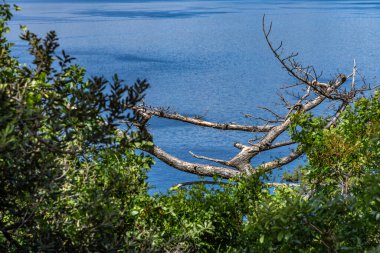 Vrbnik kasabası yakınlarındaki Pebbly Beach Kozica, Adriyatik Denizi kıyısındaki koyu masmavi su, Croati 'deki turizm sezonundan önce insanların olmadığı bir plaj.