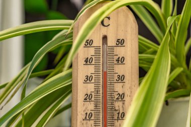 Yazın bahçedeki gölgedeki sıcaklığı ölçerken termometre, bahçede çok yüksek bir sıcaklık olduğunu gösteriyor.