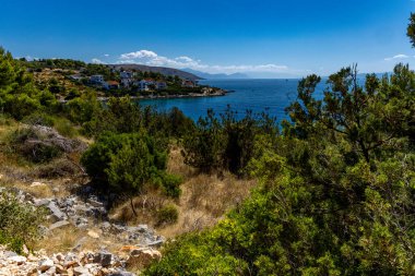 Akdeniz bitkileri, Hırvatistan 'daki Tatinye plajına giden yol, Ciovo adası, Split havaalanı yakınlarındaki turistik bölge