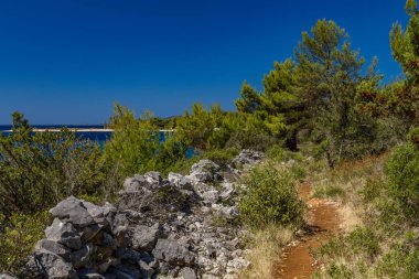 Akdeniz bitkileri, Hırvatistan 'daki Tatinye plajına giden yol, Ciovo adası, Split havaalanı yakınlarındaki turistik bölge