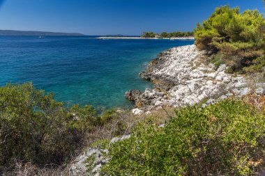 Akdeniz bitkileri, Hırvatistan 'daki Tatinye plajına giden yol, Ciovo adası, Split havaalanı yakınlarındaki turistik bölge