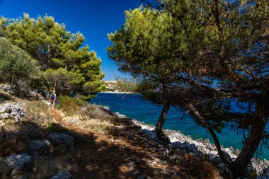 Akdeniz bitkileri, Hırvatistan 'daki Tatinye plajına giden yol, Ciovo adası, Split havaalanı yakınlarındaki turistik bölge