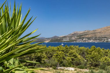 Ciovo, Trogir, Dalmaçya adasının panoramik manzarası, yüksek görüş açısıyla, adadaki yemyeşil Akdeniz bitkisi