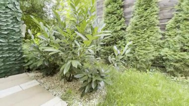 Evin önündeki bahçede bir dinlenme alanı, ahşap bir veranda, bir hamak, sallanan bir salıncak, terasta tahta ve çiçeklerden yapılmış bir pergola.