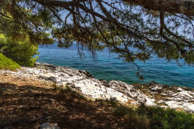 Hırvatistan 'ın Ciovo adasının kıyısındaki Vela i Mala Draga plajına giden yol