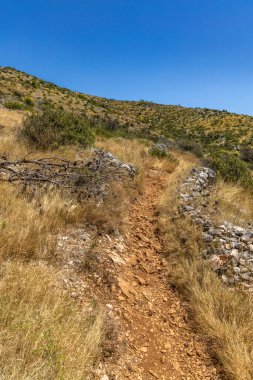 Hırvatistan 'ın Ciovo adasının kıyısındaki Vela i Mala Draga plajına giden yol