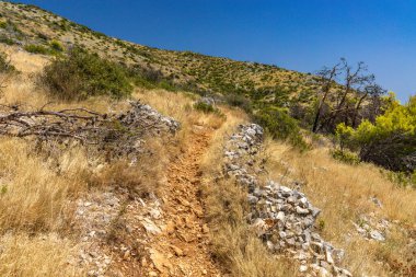 Hırvatistan 'ın Ciovo adasının kıyısındaki Vela i Mala Draga plajına giden yol