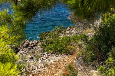 Hırvatistan 'ın Ciovo adasının kıyısındaki Vela i Mala Draga plajına giden yol