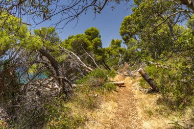 Hırvatistan 'ın Ciovo adasının kıyısındaki Vela i Mala Draga plajına giden yol
