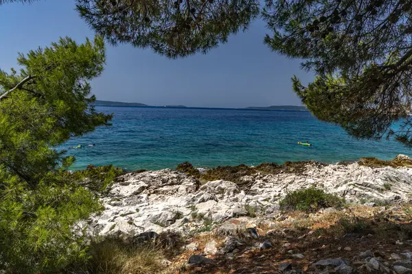 Hırvatistan 'ın Ciovo adasının kıyısındaki Vela i Mala Draga plajına giden yol