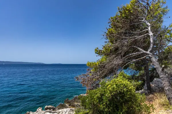 Hırvatistan 'ın Ciovo adasının kıyısındaki Vela i Mala Draga plajına giden yol