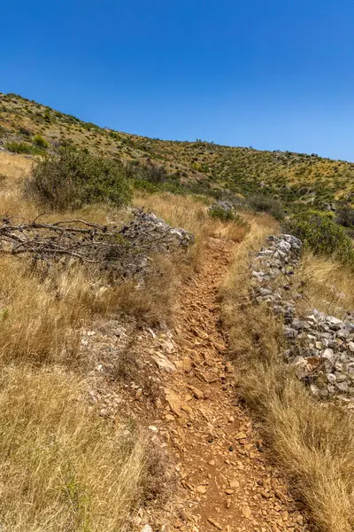 Hırvatistan 'ın Ciovo adasının kıyısındaki Vela i Mala Draga plajına giden yol