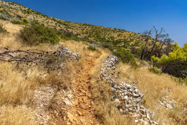 Hırvatistan 'ın Ciovo adasının kıyısındaki Vela i Mala Draga plajına giden yol