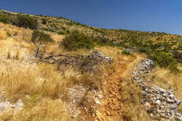 Hırvatistan 'ın Ciovo adasının kıyısındaki Vela i Mala Draga plajına giden yol