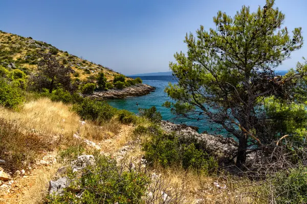 Hırvatistan 'ın Ciovo adasının kıyısındaki Vela i Mala Draga plajına giden yol
