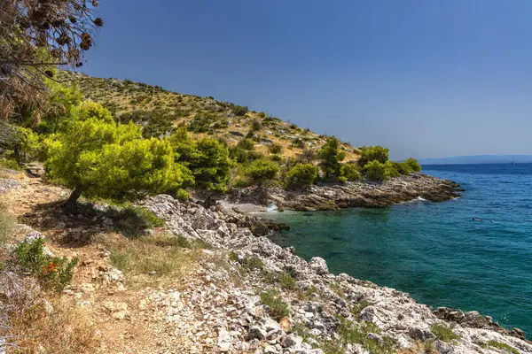 Hırvatistan 'ın Ciovo adasının kıyısındaki Vela i Mala Draga plajına giden yol