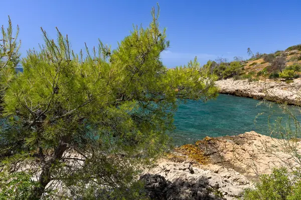 Hırvatistan 'ın Ciovo adasının kıyısındaki Vela i Mala Draga plajına giden yol