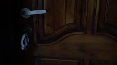 Polis, soygun mahallinde mavi ve kırmızı parlayan ışıklar. Kilitli ahşap kapı, suç mahalli.