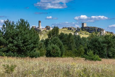 Olsztyn 'deki şatonun kalıntıları, turistik bir yer, gezmek için açık bir kale.