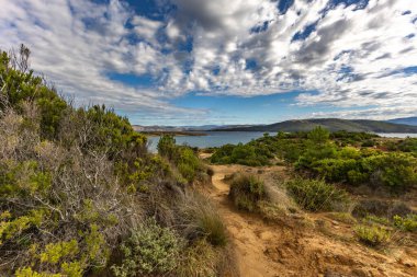 Engebeli kayalık zemin, yeşil çalılar, çam ağaçları ve dağınık bulutlu dramatik bir gökyüzü altında vahşi bitki örtüsü barındıran Akdeniz manzarasının güzel panoramik manzarası. Sahne sakin mavi bir denize bakıyor. Uzakta dağlar var.