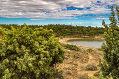 Engebeli kayalık zemin, yeşil çalılar, çam ağaçları ve dağınık bulutlu dramatik bir gökyüzü altında vahşi bitki örtüsü barındıran Akdeniz manzarasının güzel panoramik manzarası. Sahne sakin mavi bir denize bakıyor. Uzakta dağlar var.