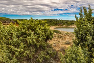 Engebeli kayalık zemin, yeşil çalılar, çam ağaçları ve dağınık bulutlu dramatik bir gökyüzü altında vahşi bitki örtüsü barındıran Akdeniz manzarasının güzel panoramik manzarası. Sahne sakin mavi bir denize bakıyor. Uzakta dağlar var.