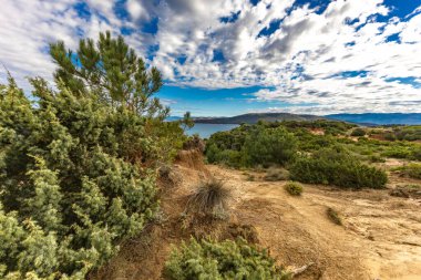 Engebeli kayalık zemin, yeşil çalılar, çam ağaçları ve dağınık bulutlu dramatik bir gökyüzü altında vahşi bitki örtüsü barındıran Akdeniz manzarasının güzel panoramik manzarası. Sahne sakin mavi bir denize bakıyor. Uzakta dağlar var.