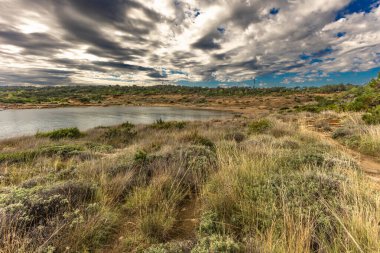 Engebeli kayalık zemin, yeşil çalılar, çam ağaçları ve dağınık bulutlu dramatik bir gökyüzü altında vahşi bitki örtüsü barındıran Akdeniz manzarasının güzel panoramik manzarası. Sahne sakin mavi bir denize bakıyor. Uzakta dağlar var.