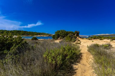 Engebeli kayalık zemin, yeşil çalılar, çam ağaçları ve dağınık bulutlu dramatik bir gökyüzü altında vahşi bitki örtüsü barındıran Akdeniz manzarasının güzel panoramik manzarası. Sahne sakin mavi bir denize bakıyor. Uzakta dağlar var.