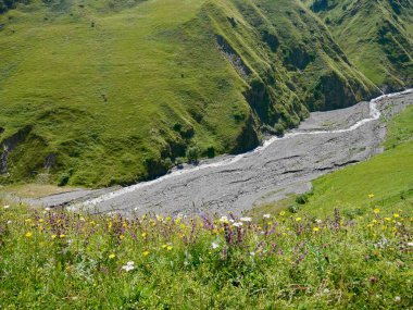 Artkhmo Vadisi 'ndeki yemyeşil arazi. Kazbegi bölgesi, Georgia. Yüksek kalite fotoğraf