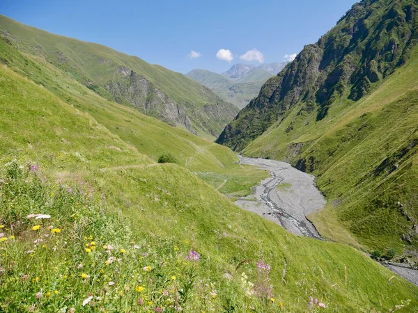Lush Green Landscape Artkhmo Valley Kazbegi Region Georgia High Quality — Stock Photo, Image