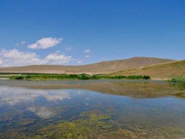 Gürcistan 'ın Samtskhe-Javakheti Milli Parkı' ndaki Khanchali Gölü 'nün güzel doğası. Yüksek kalite fotoğraf