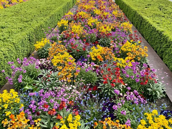 Colorful flower bed in public park. High quality photo