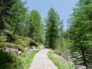 Hiking trail in Alpe Devero, Parco Naturale Veglia-Devero, Val d'Ossola, Italy. High quality photo