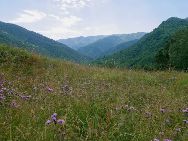 Scenic landscape in the mountains of Ushguli, Svaneti, Georgia. High quality photo