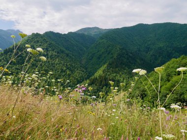 Scenic landscape in the mountains of Ushguli, Svaneti, Georgia. High quality photo