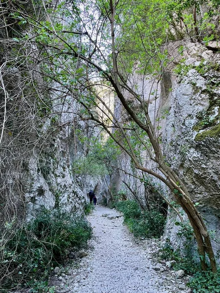 Wandelen Indrukwekkende Canyon Regalon Provence Frankrijk Hoge Kwaliteit Foto — Stockfoto