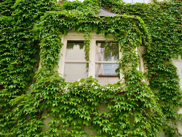 Casa Residencial Con Fachada Verde Bressanone Italia Concepto Hogar Ecológico —  Fotos de Stock