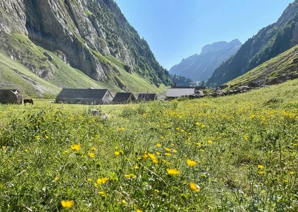 スイス アッペンツェル州アルプシュタインのファエレンアルプのパノラマビュー 高品質の写真 — ストック写真